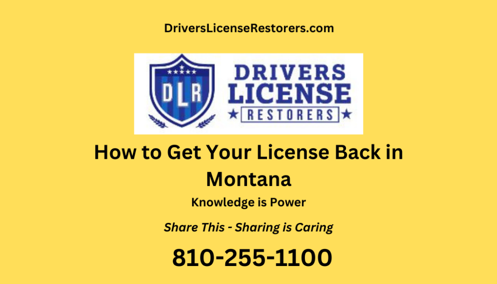 How to get your license  back in Montana