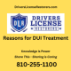 Reasons for DUI