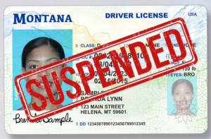 Restore Your Suspended Driver's License in Montana