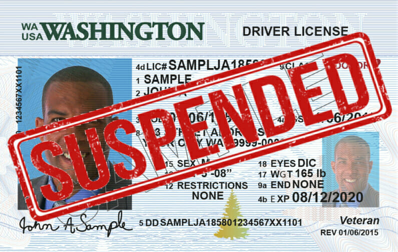 washington dol drivers license check